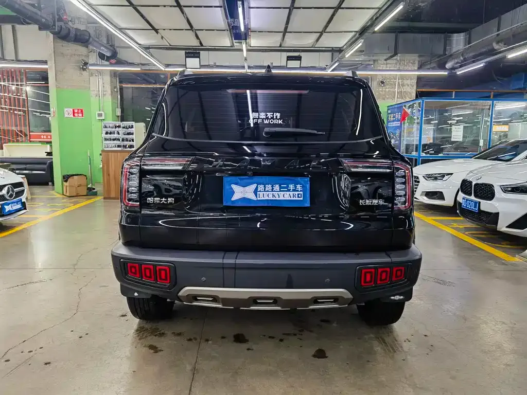 Haval Big Dog — фото 7