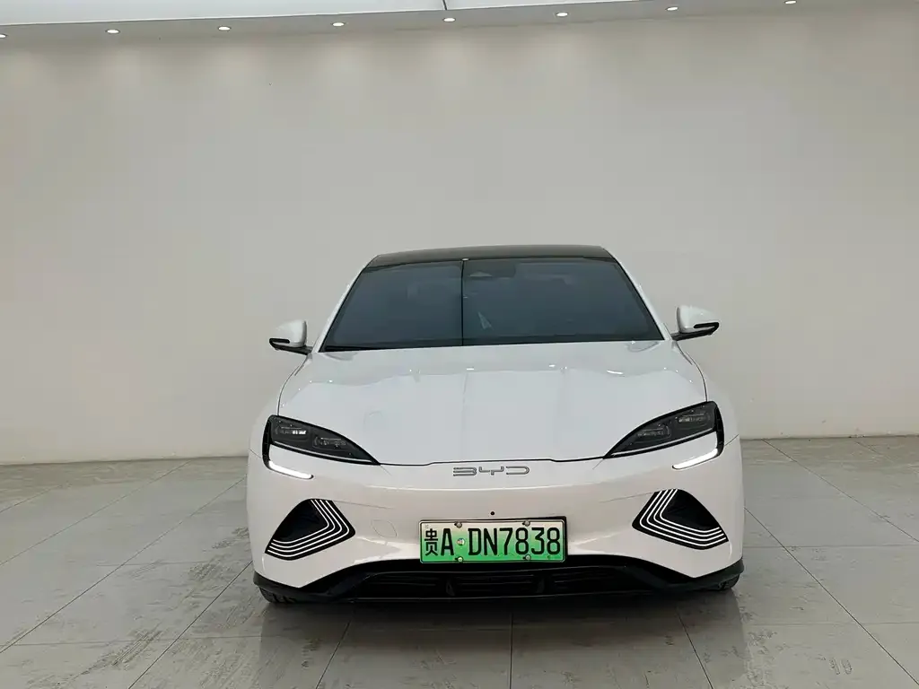 BYD Seal 2023 из CN, фото 2