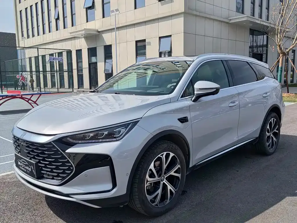 BYD Tang New Energy — фото 1