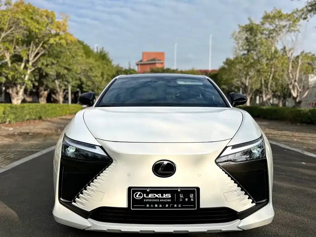 Lexus RZ — фото 8