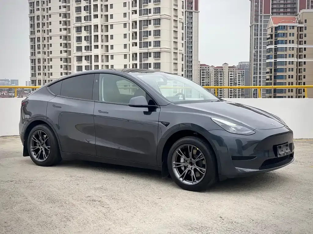 Tesla Model Y 2024 из CN, фото 7