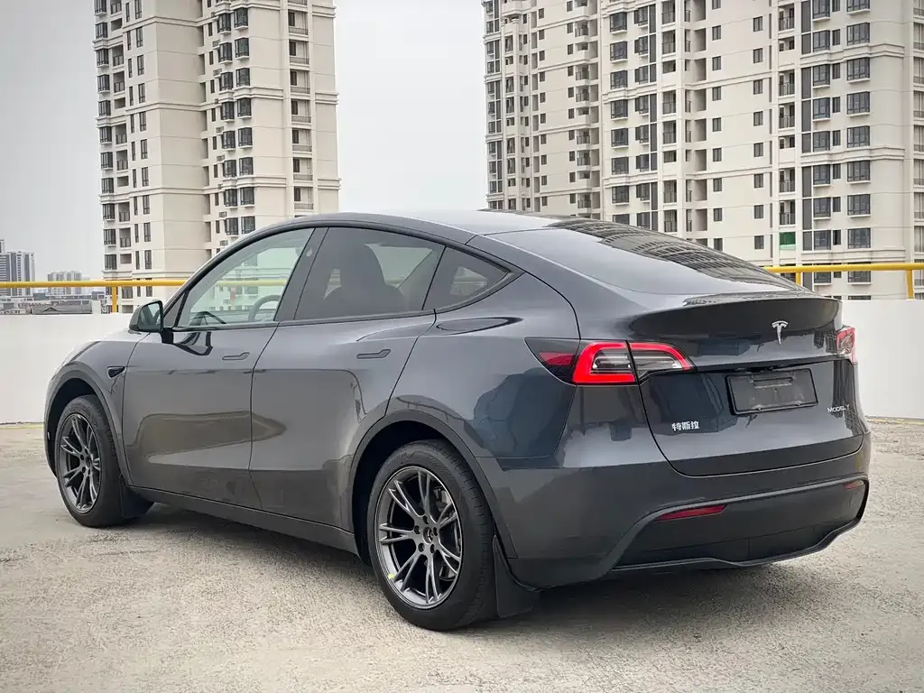 Tesla Model Y 2024 из CN, фото 6