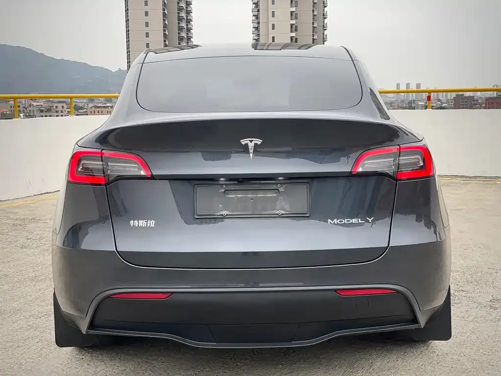 Tesla Model Y 2024 из CN, фото 2