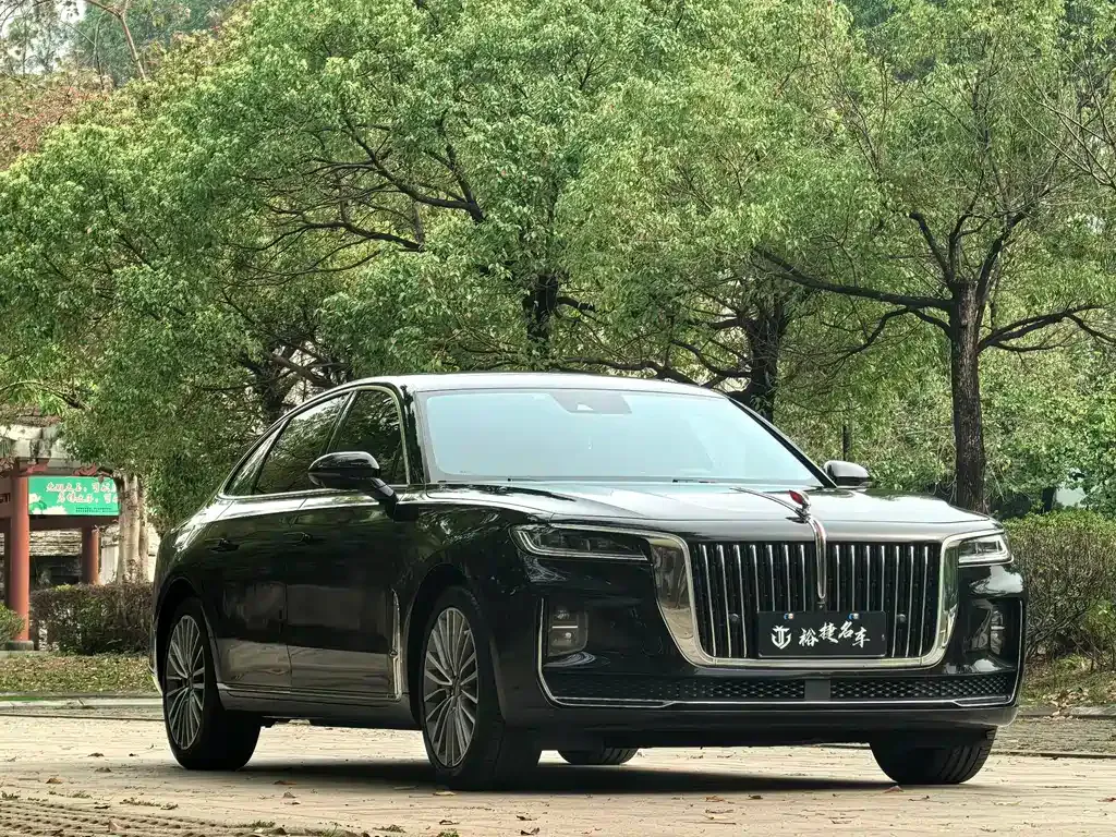 Hongqi H9 2021 из CN, фото 9