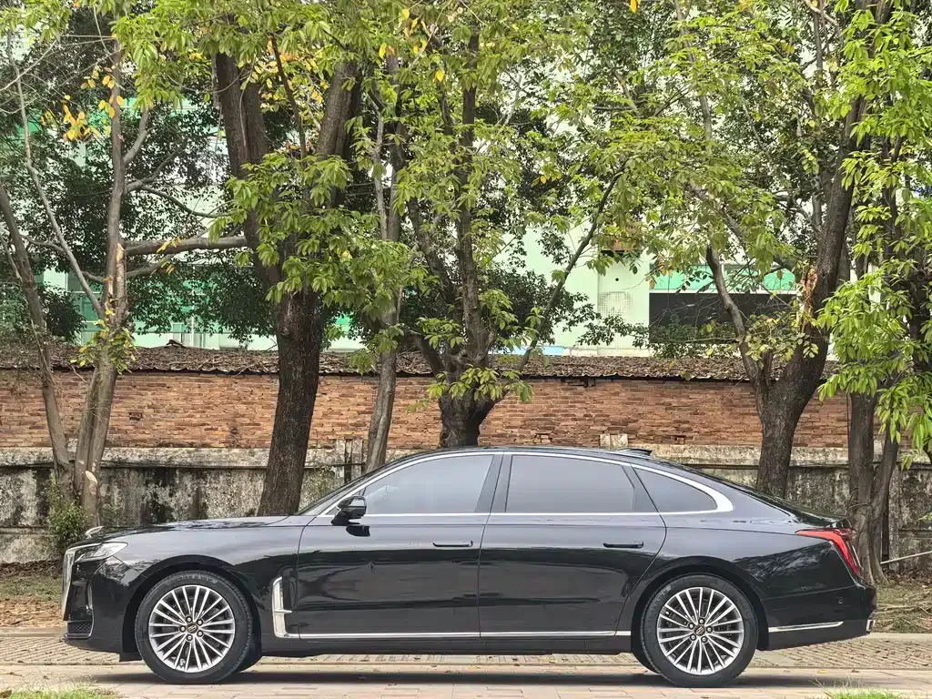 Hongqi H9 2021 из CN, фото 10