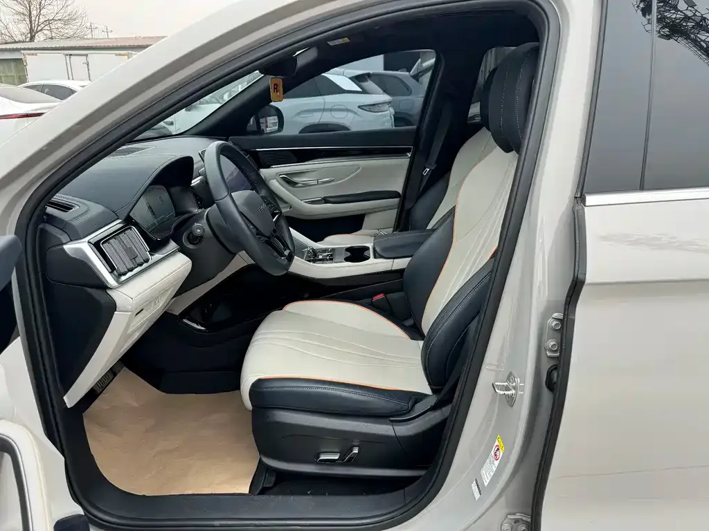 BYD PLUS New Energy — фото 4