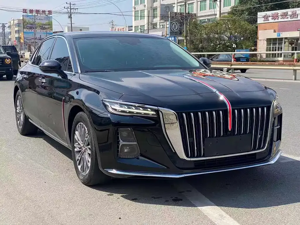 Hongqi H5 — фото 8