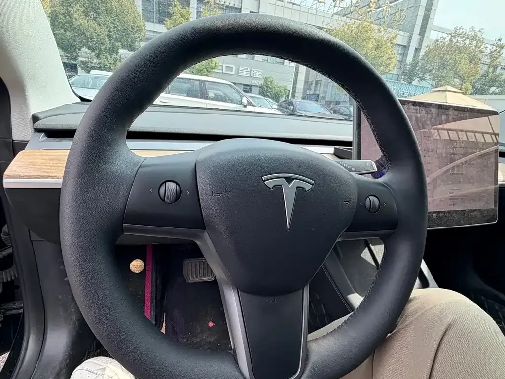 Tesla Model 3 2022 из CN, фото 7