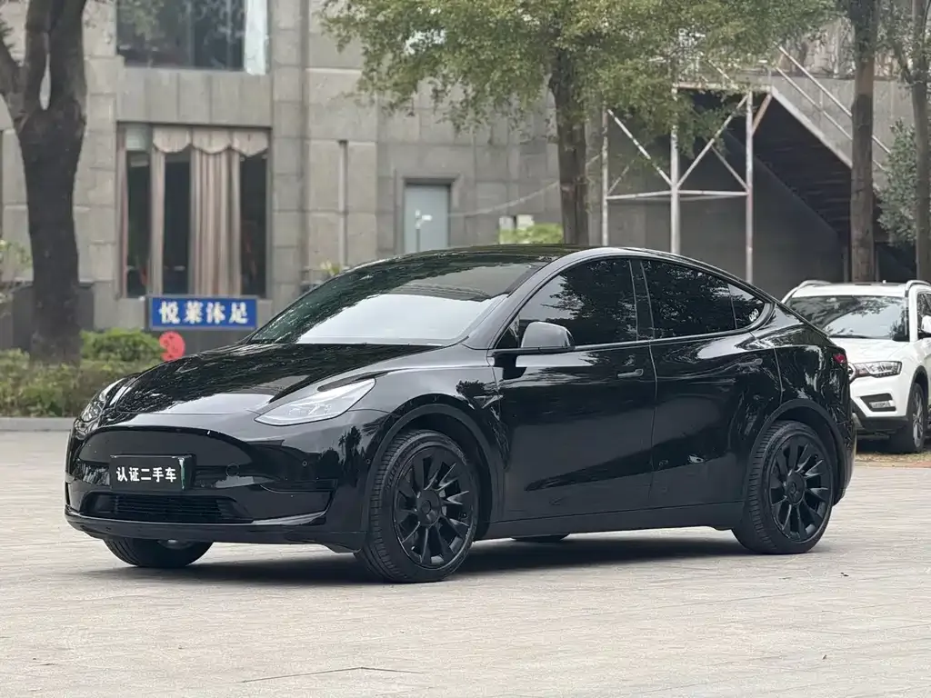 Tesla Model Y — фото 1