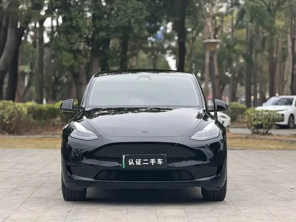 Tesla Model Y — фото 6