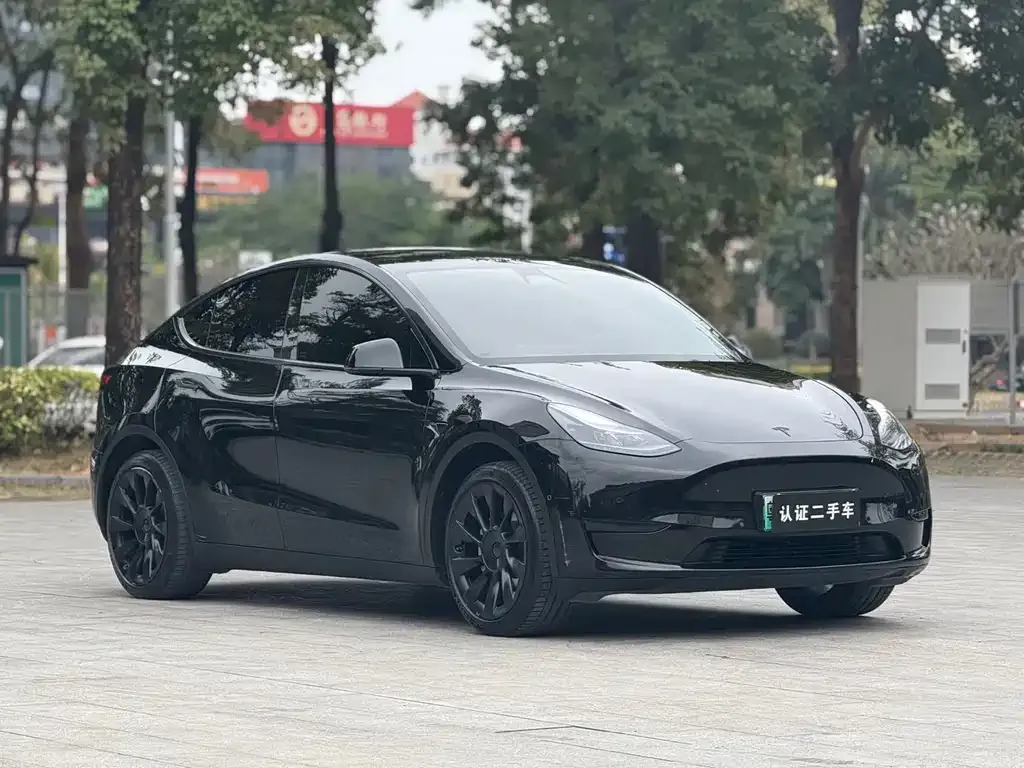 Tesla Model Y — фото 10