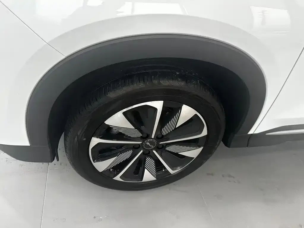 BYD PLUS New Energy — фото 4