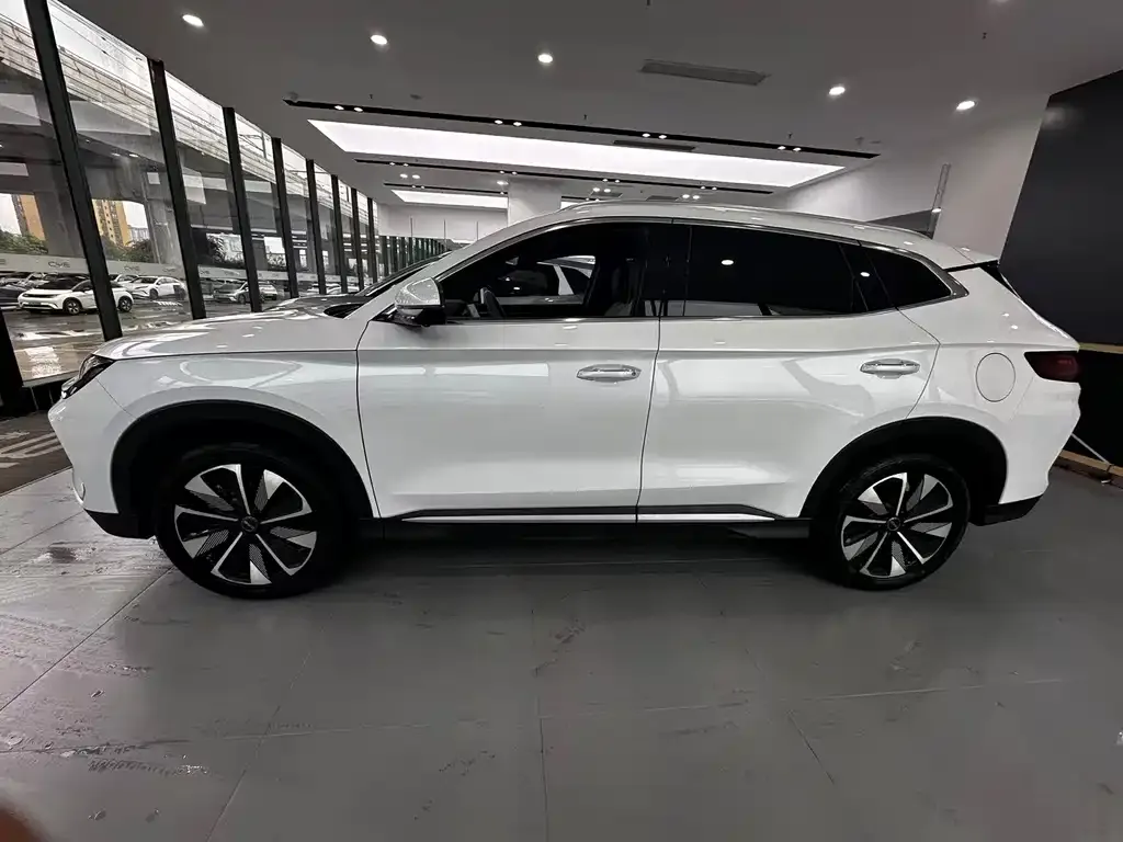 BYD PLUS New Energy — фото 9