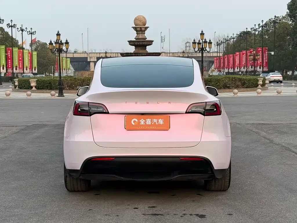Tesla Model Y 2023 из CN, фото 6