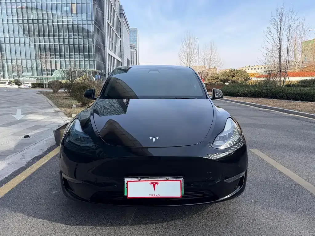 Tesla Model Y — фото 8