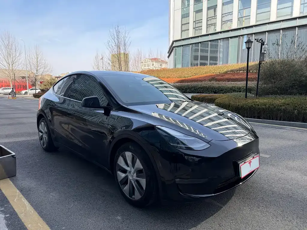 Tesla Model Y — фото 7