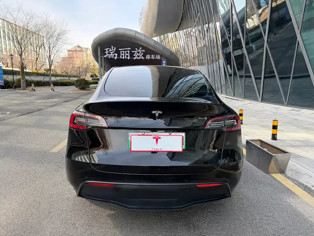 Tesla Model Y — фото 3