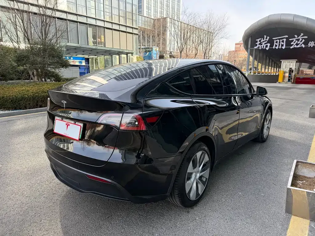Tesla Model Y — фото 9