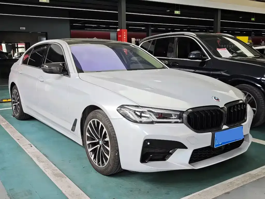 BMW 5 Series 2021 из CN, фото 2