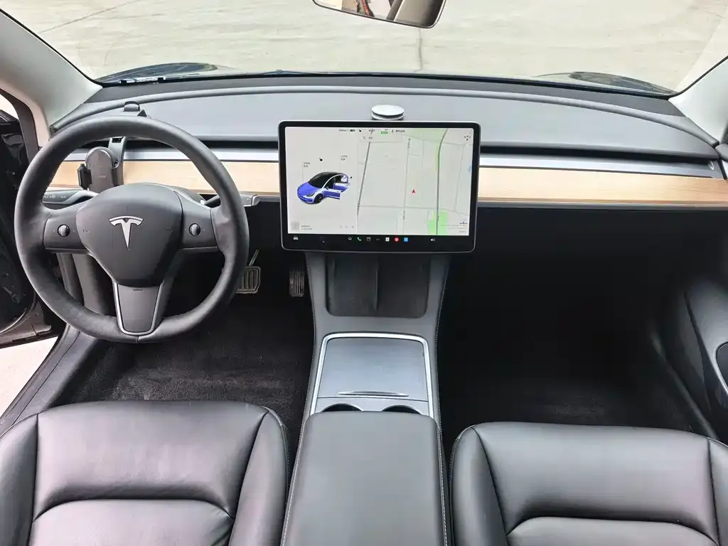 Tesla Model 3 2021 из CN, фото 4
