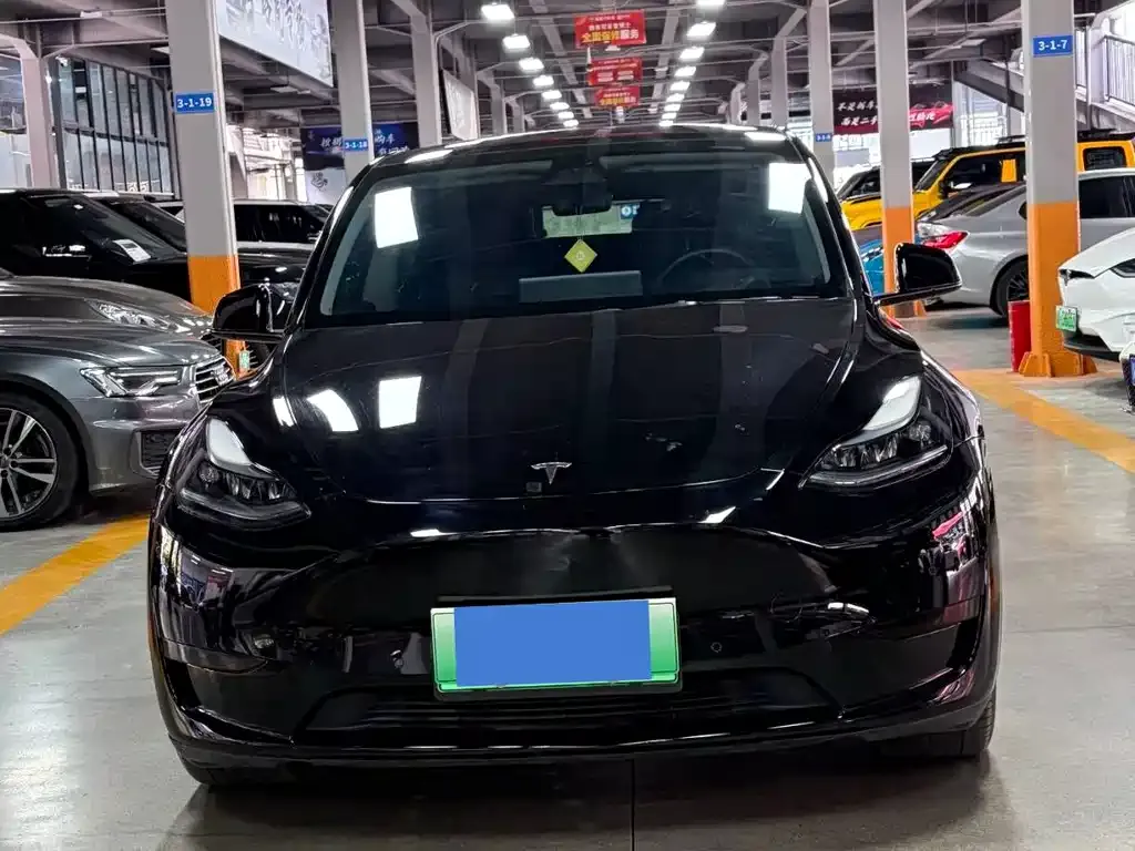 Tesla Model Y — фото 2