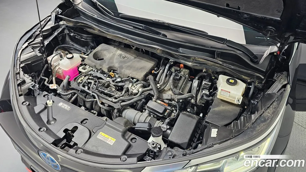 Toyota Sienna 2023 из KR, фото 6