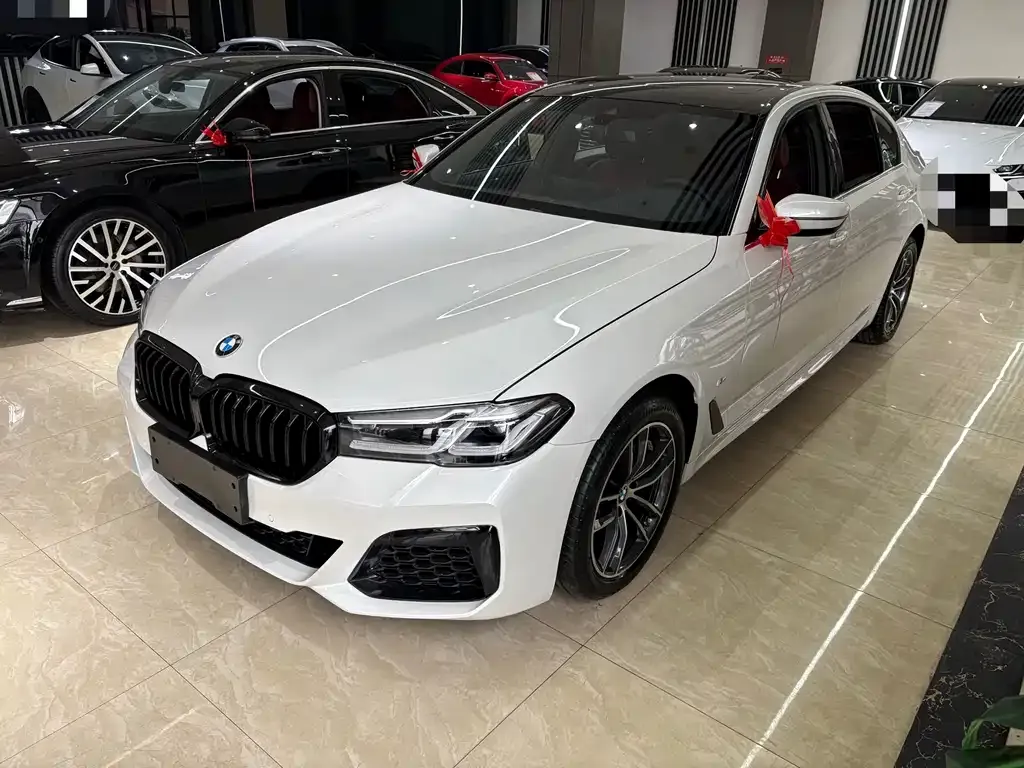 BMW 5 Series 2022 из CN, фото 1
