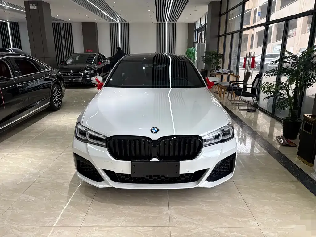 BMW 5 Series 2022 из CN, фото 9