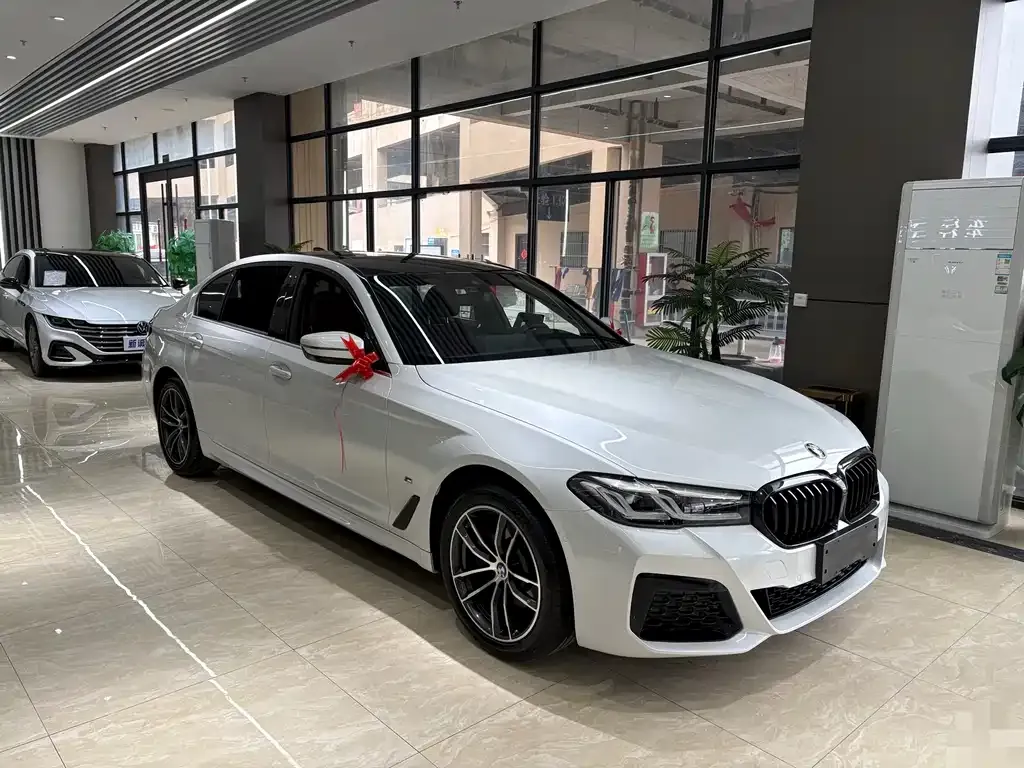 BMW 5 Series 2022 из CN, фото 3
