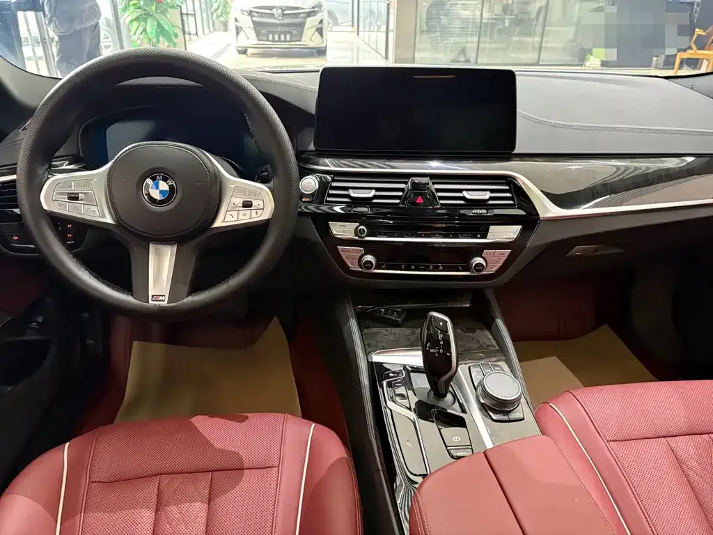 BMW 5 Series 2022 из CN, фото 4