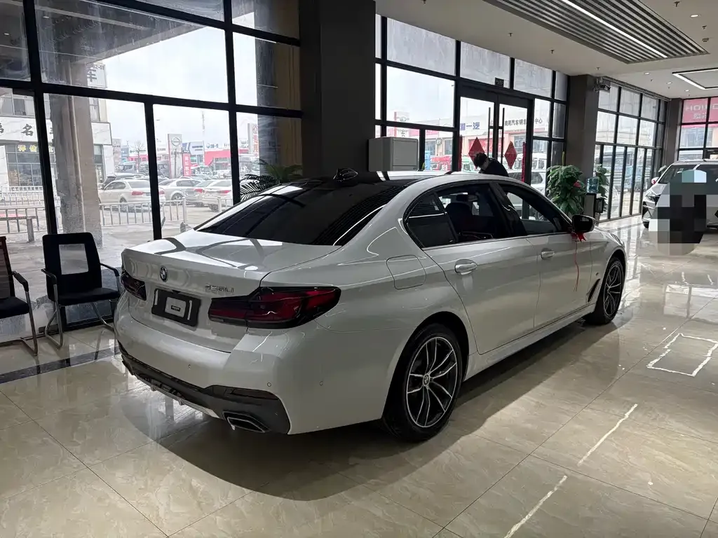 BMW 5 Series 2022 из CN, фото 7