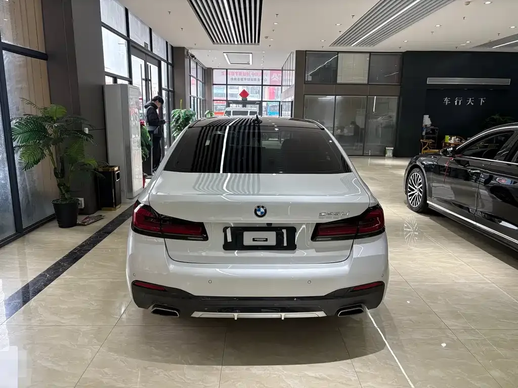 BMW 5 Series 2022 из CN, фото 6