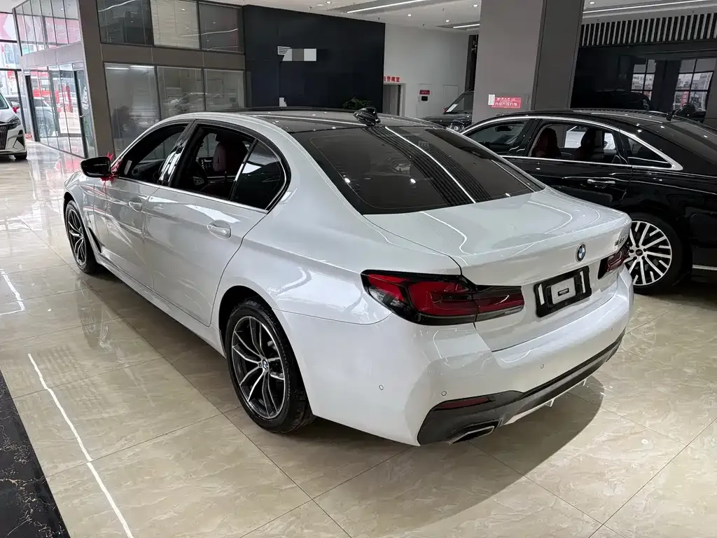 BMW 5 Series 2022 из CN, фото 8