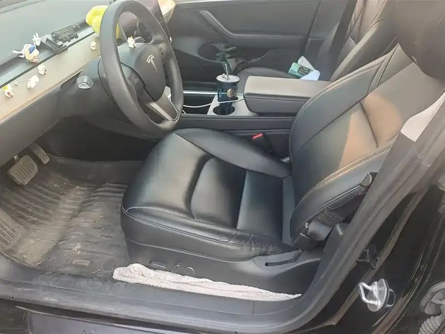 Tesla Model 3 2023 из CN, фото 9
