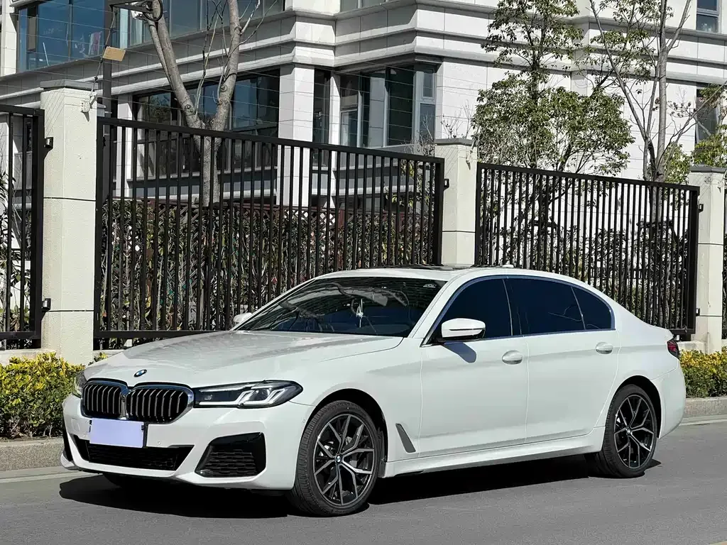 BMW 5 Series 2021 из CN, фото 1