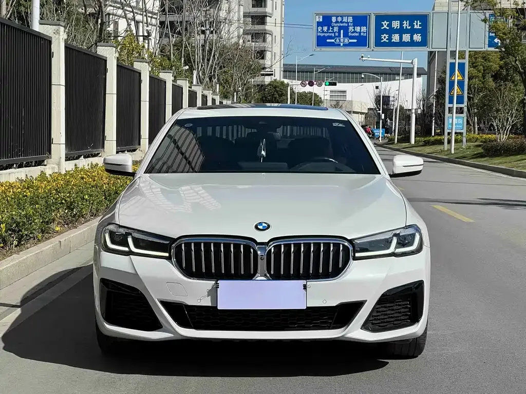 BMW 5 Series 2021 из CN, фото 10