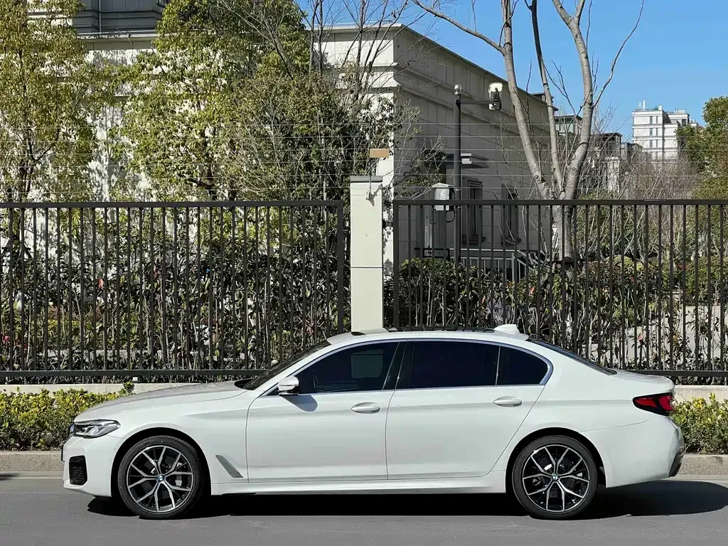 BMW 5 Series 2021 из CN, фото 7