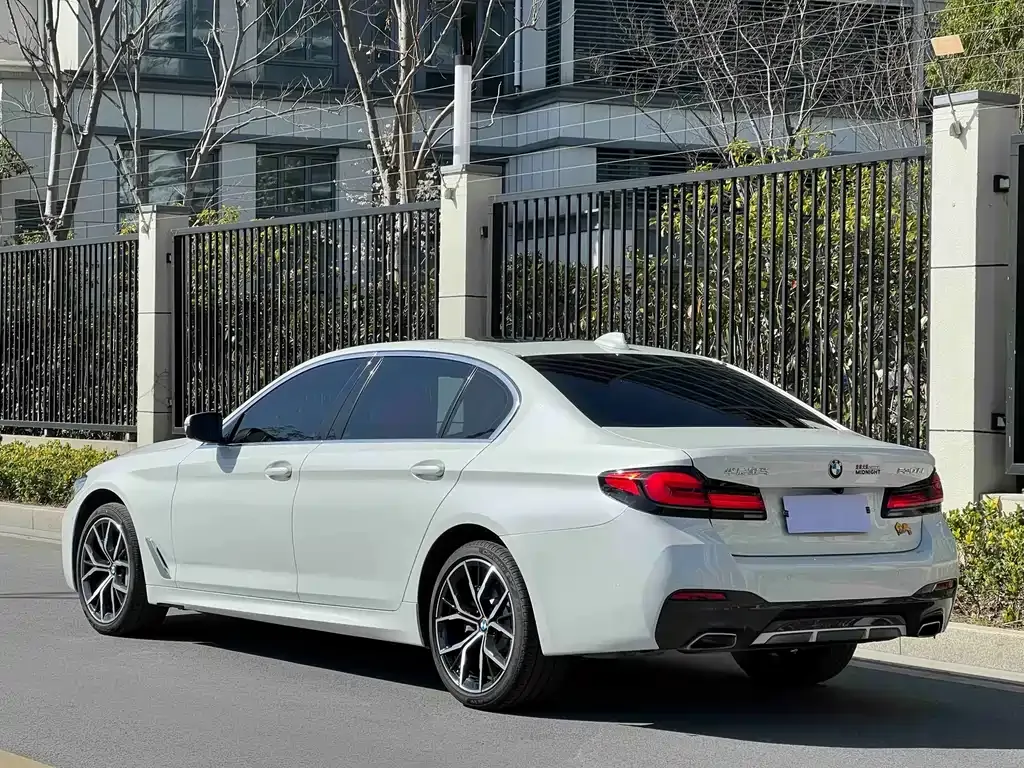 BMW 5 Series 2021 из CN, фото 4