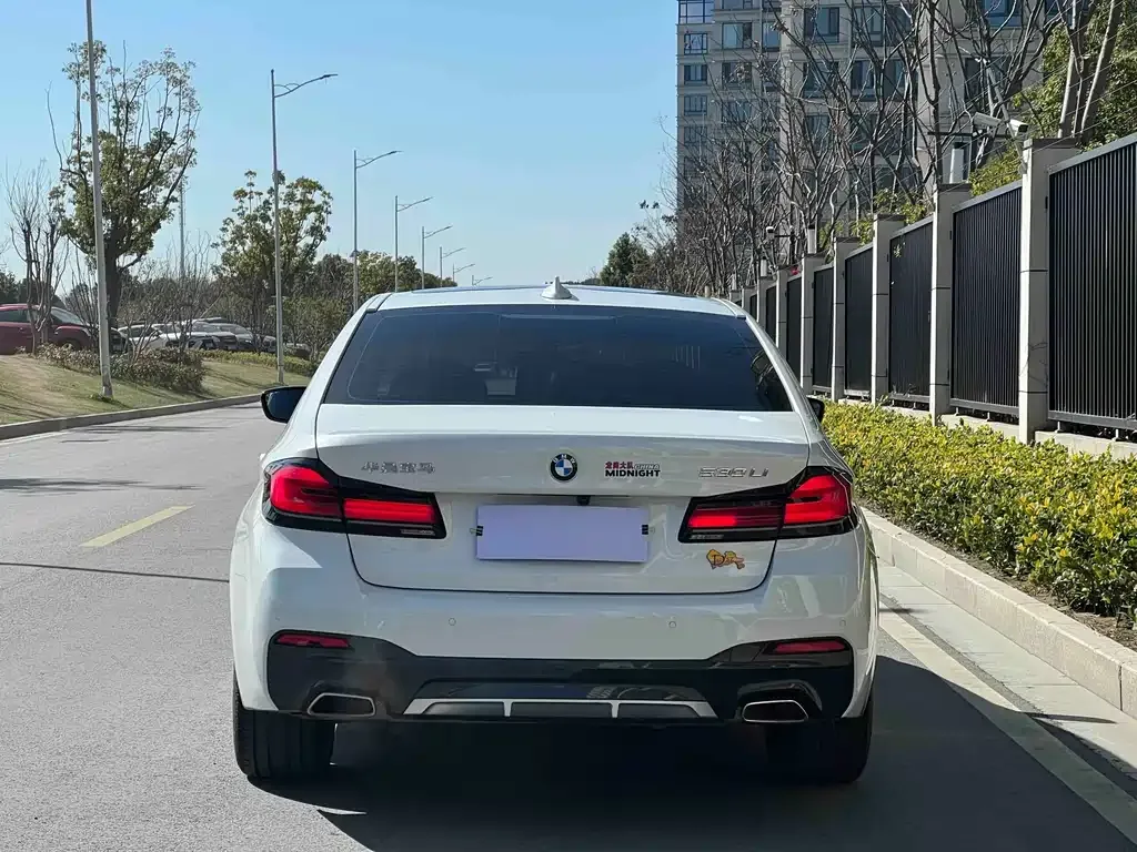 BMW 5 Series 2021 из CN, фото 9