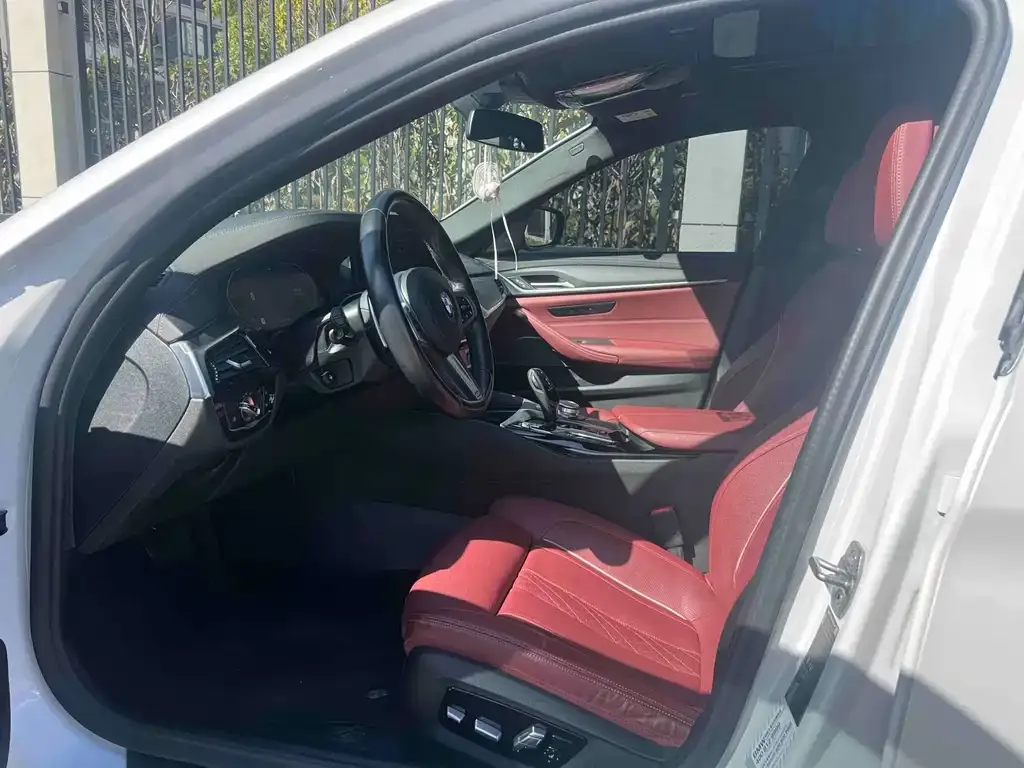 BMW 5 Series 2021 из CN, фото 6