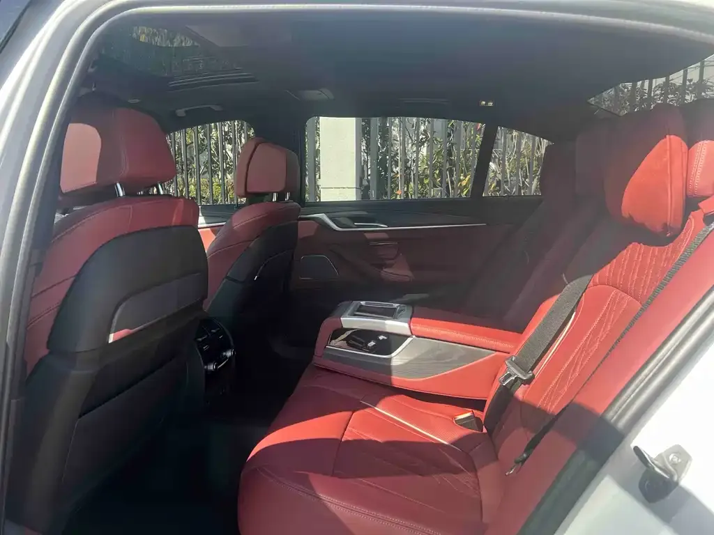 BMW 5 Series 2021 из CN, фото 8