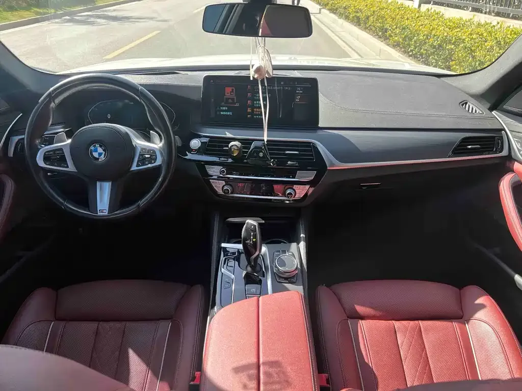 BMW 5 Series 2021 из CN, фото 5