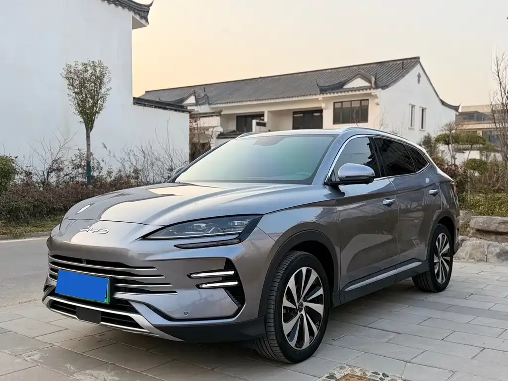 BYD PLUS New Energy — фото 1