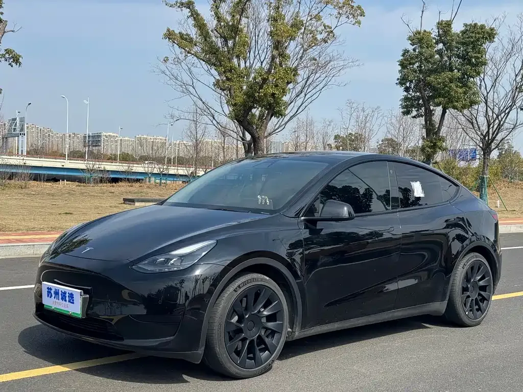 Tesla Model Y — фото 1