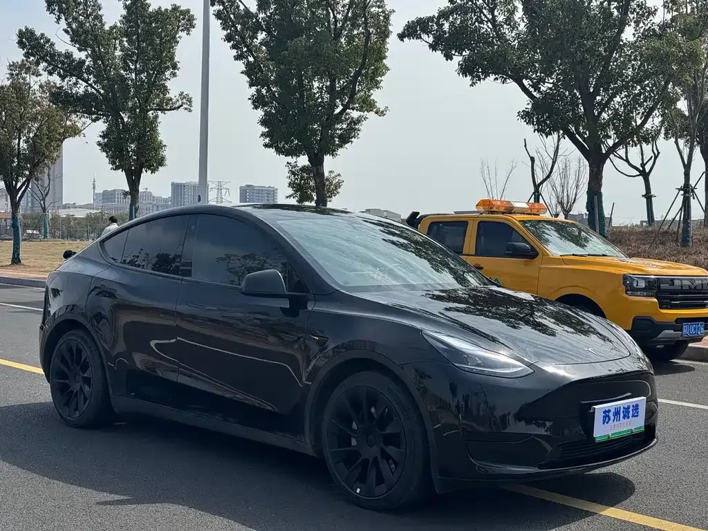 Tesla Model Y — фото 4