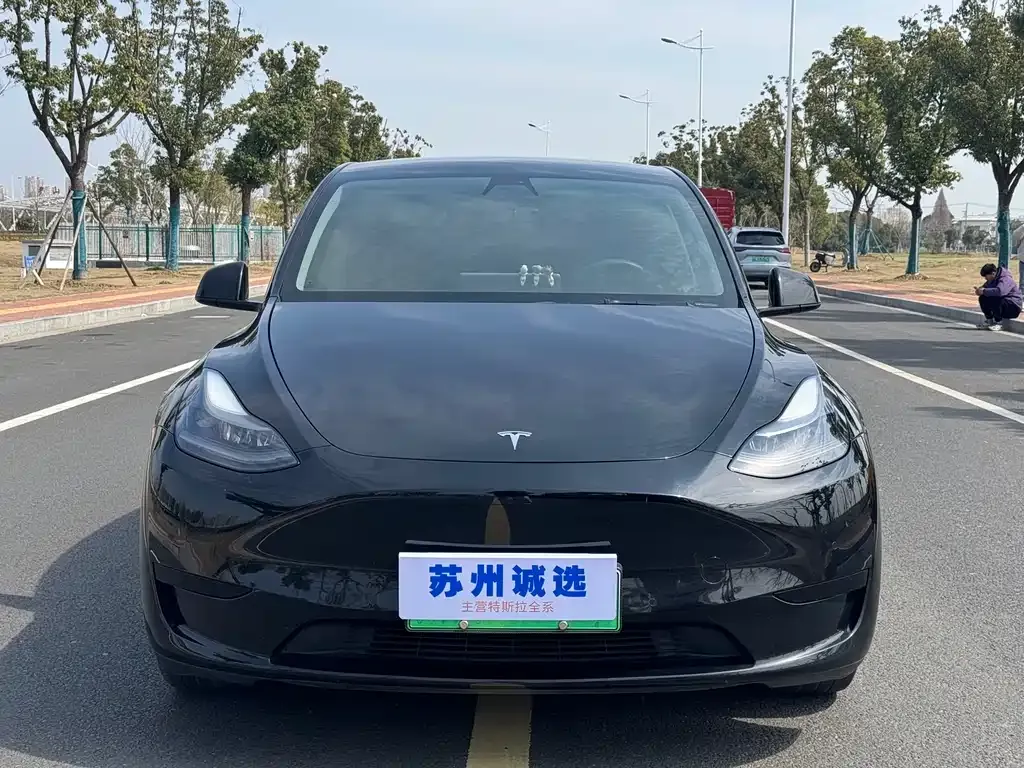 Tesla Model Y — фото 3