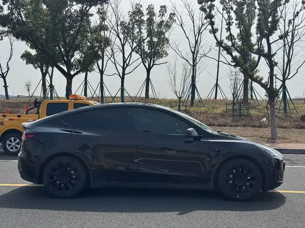 Tesla Model Y — фото 2