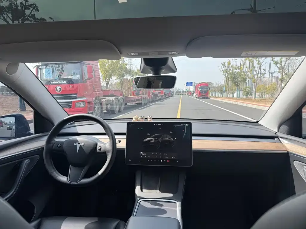 Tesla Model Y — фото 8