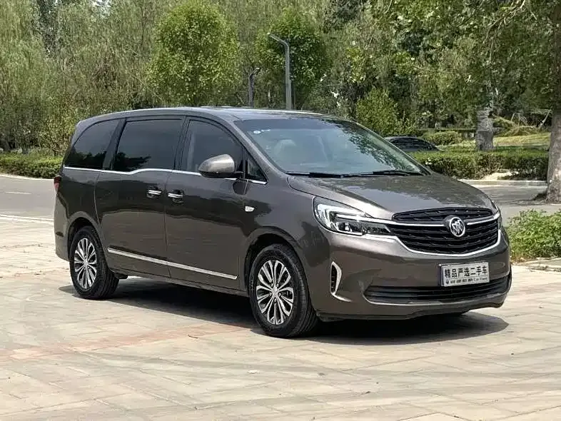 Buick GL8 2021 из CN, фото 3