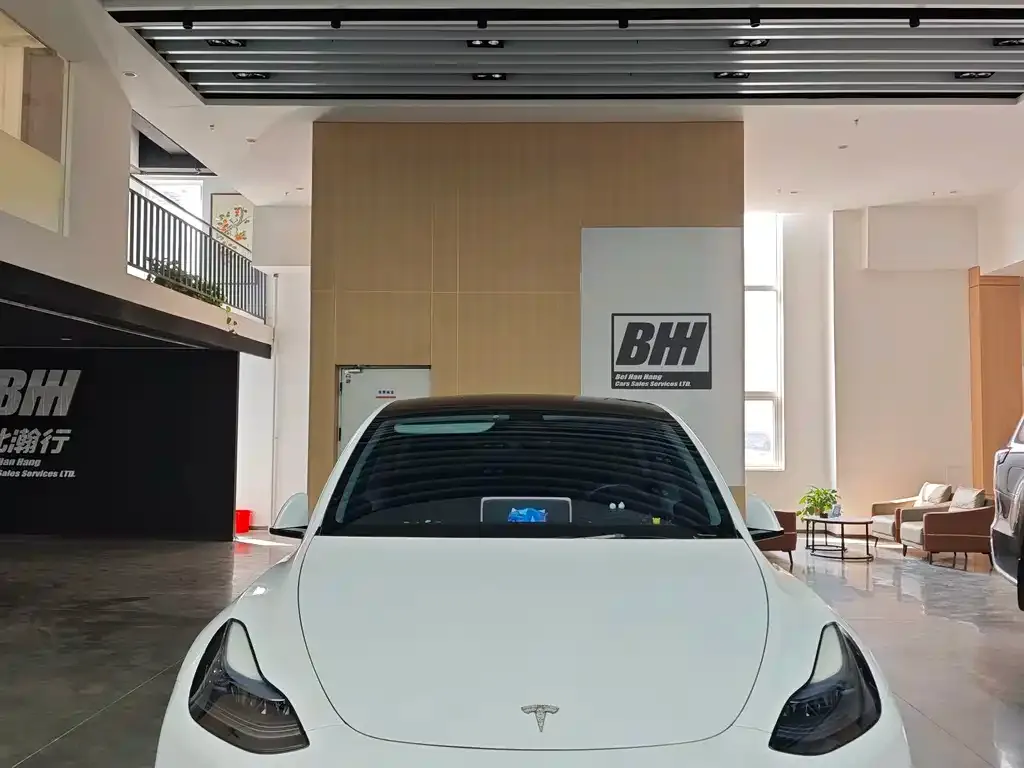 Tesla Model Y — фото 1